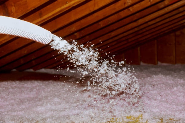 Best Insulation Repair Services  in Carbondale, KS