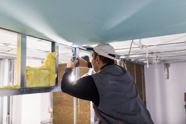 Insulation Inspection Services in Carbondale, KS