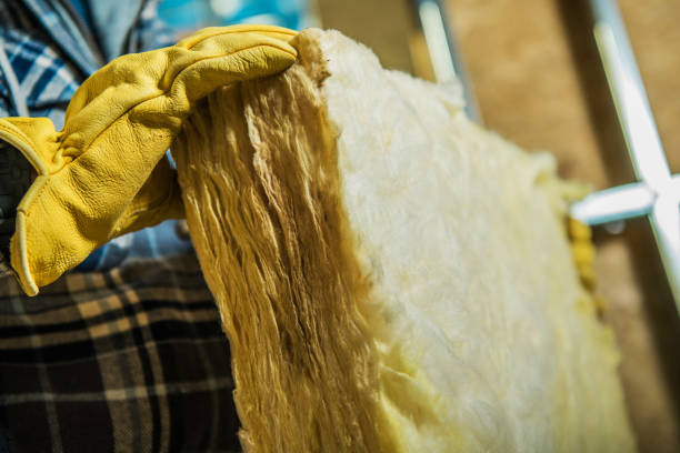 Best Spray Foam Insulation  in Carbondale, KS